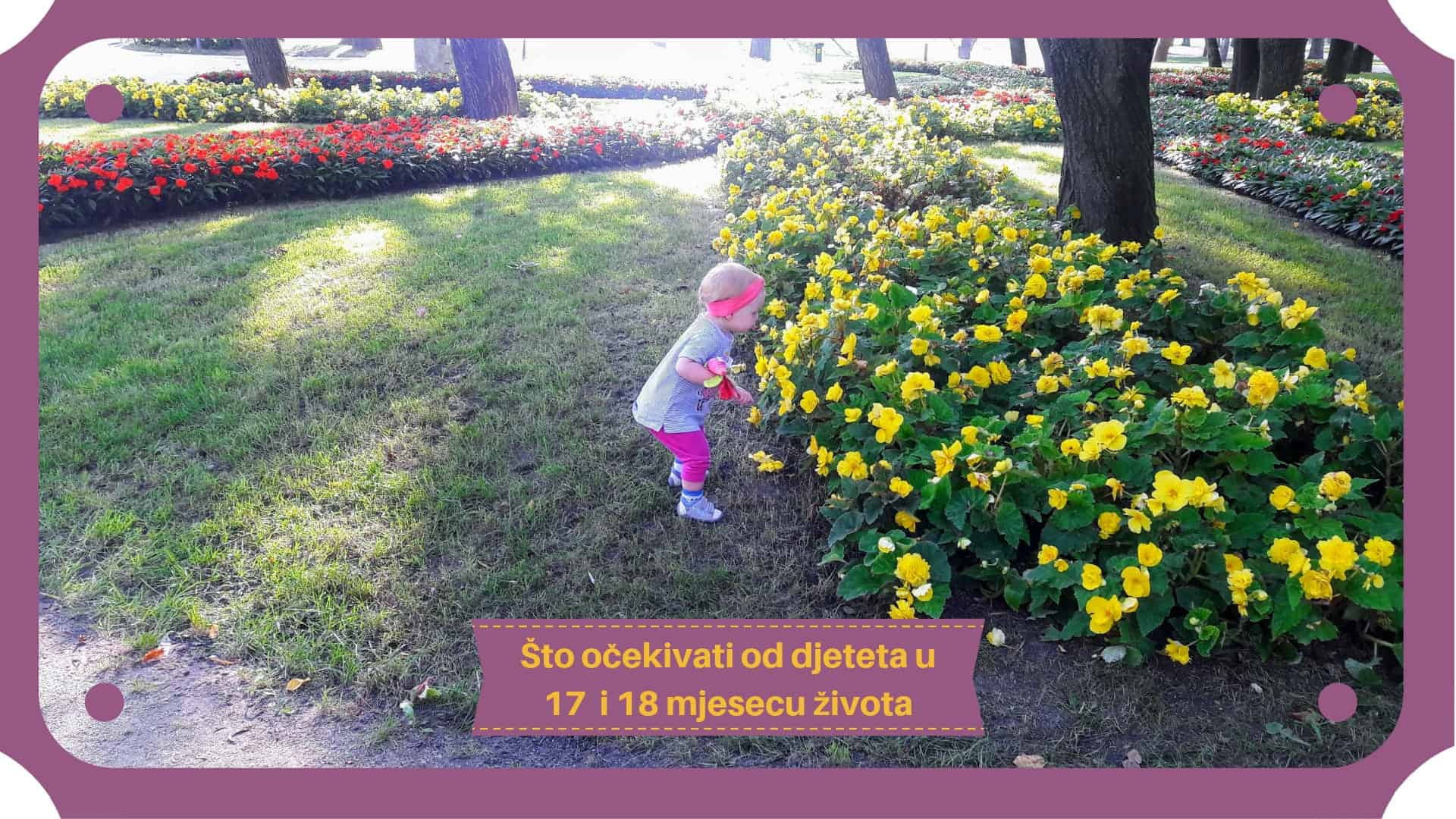 Što očekivati od djeteta u sedamnaestom i osamnaestom mjesecu života