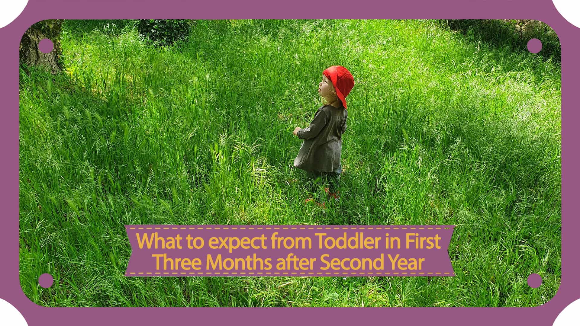What to expect from Toddler in the First Three Months after Second Year