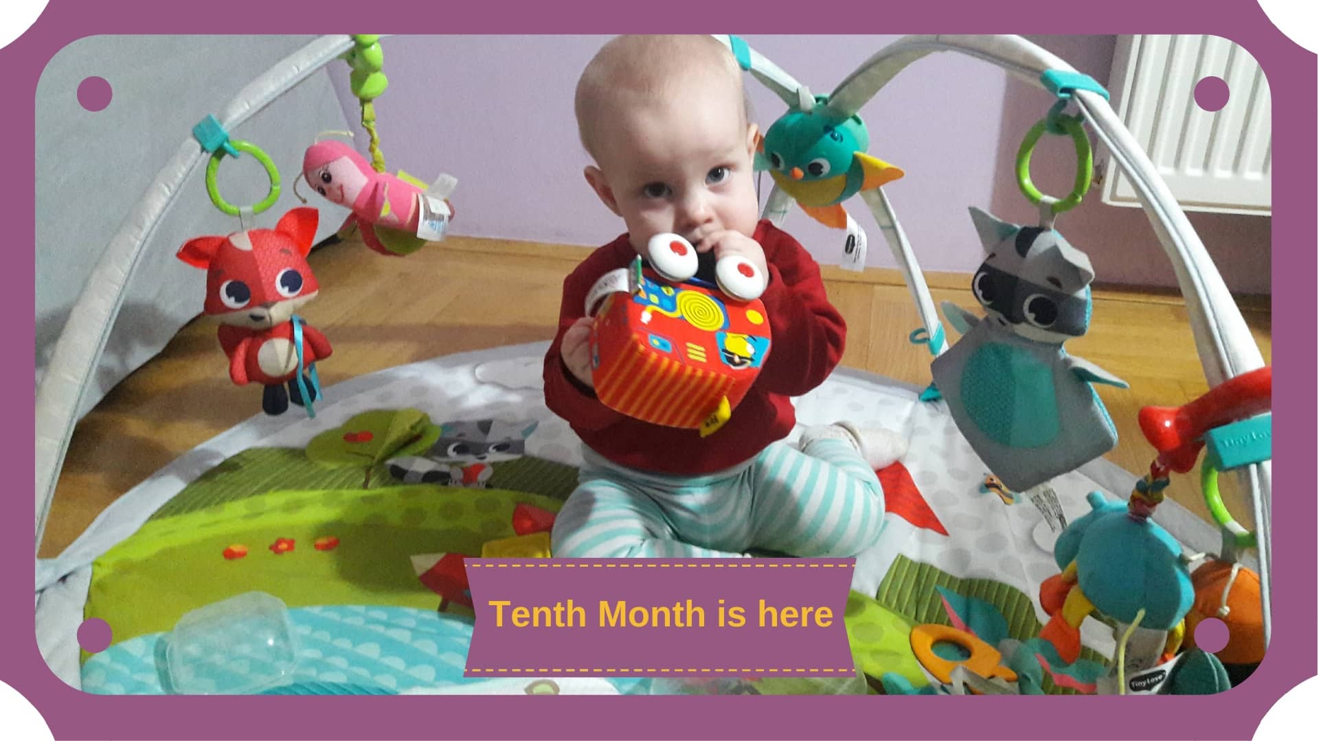 What to expect from the baby in the Tenth month