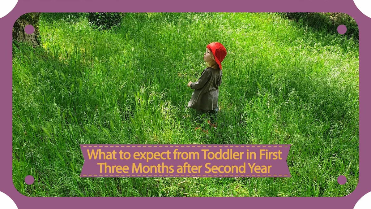 A toddler in the first three months after their second year