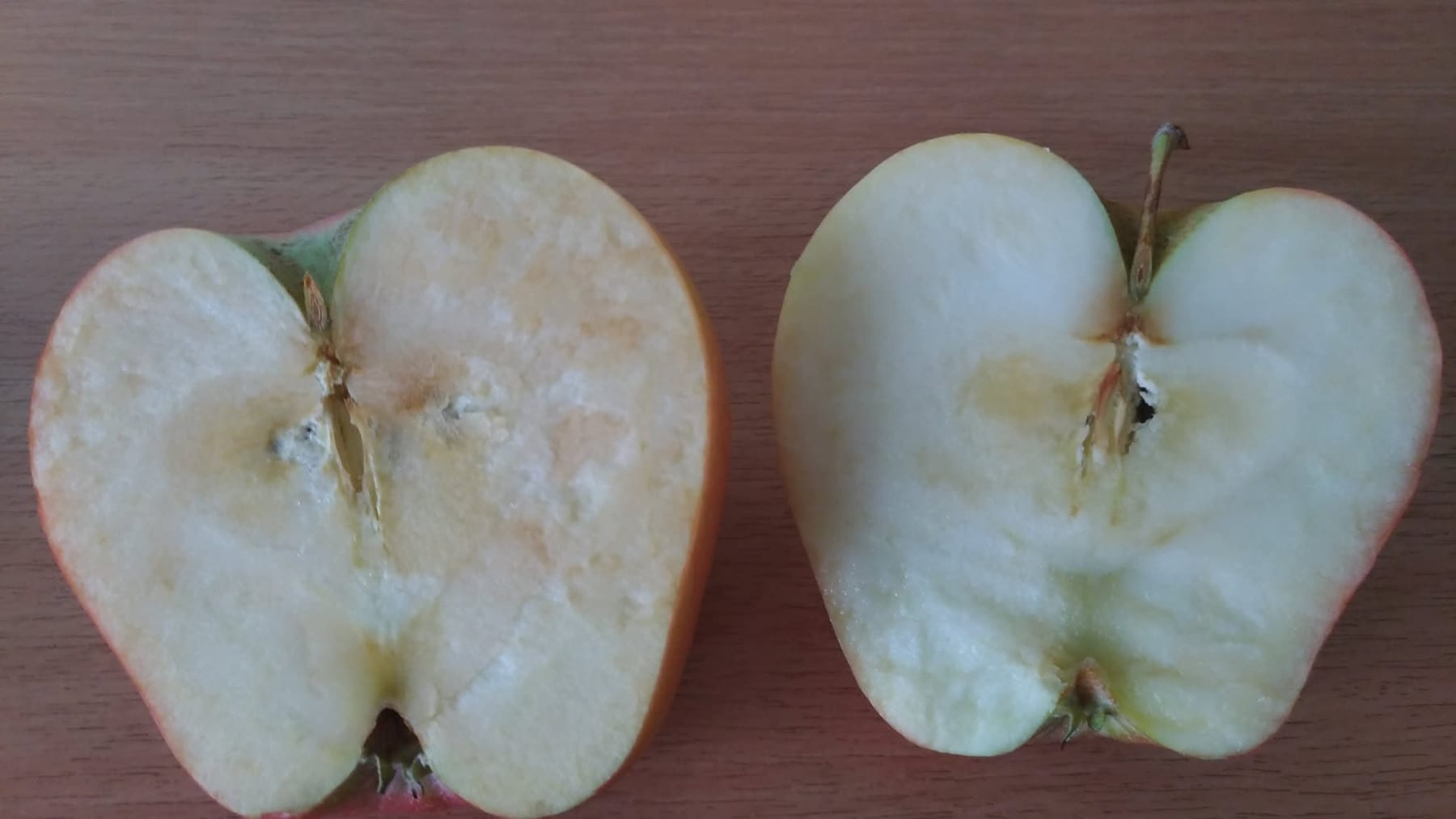 Two apple slices, one browned by oxidation and one kept fresh with lemon juice