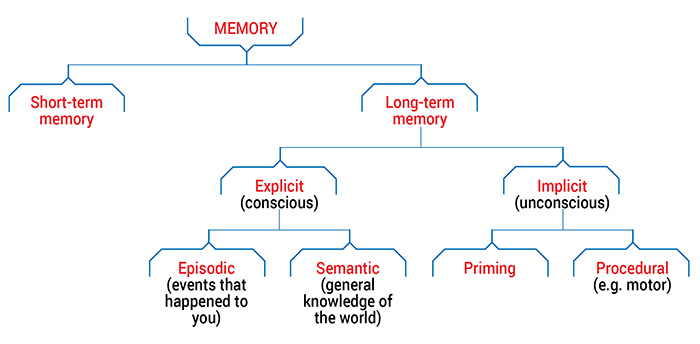 How To Improve Child U0026 39 S Working Memory