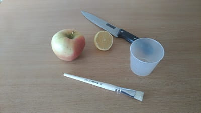 Apple Oxidation Experiment - Msterials Needed