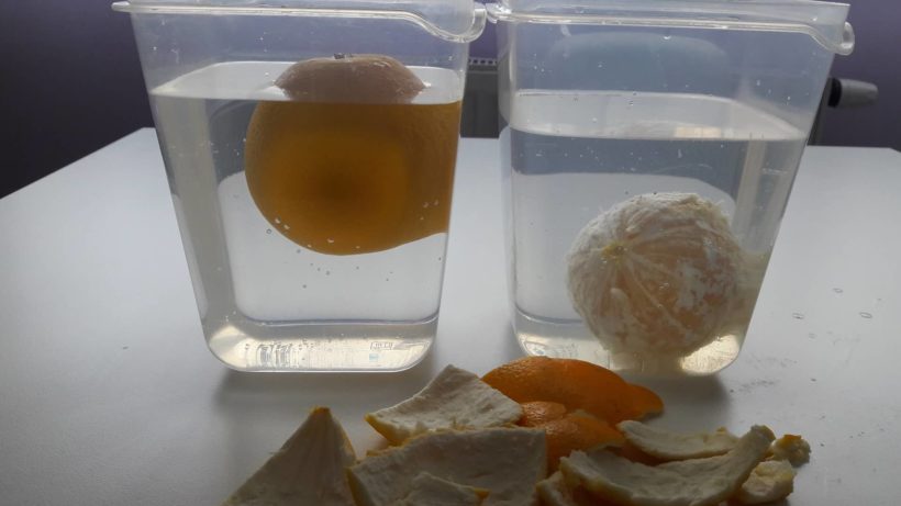 Demonstracija gustoće pomoću naranče - Početna slika