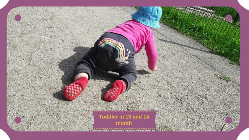 What to expect from a baby in Thirteen and Fourteen Month - Cover Image