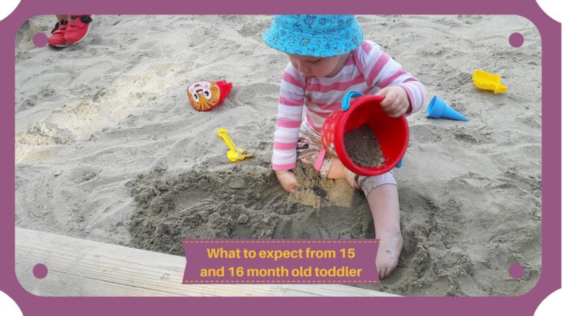What to expect from a baby in Fifteen and Sixteen Month - Cover Image