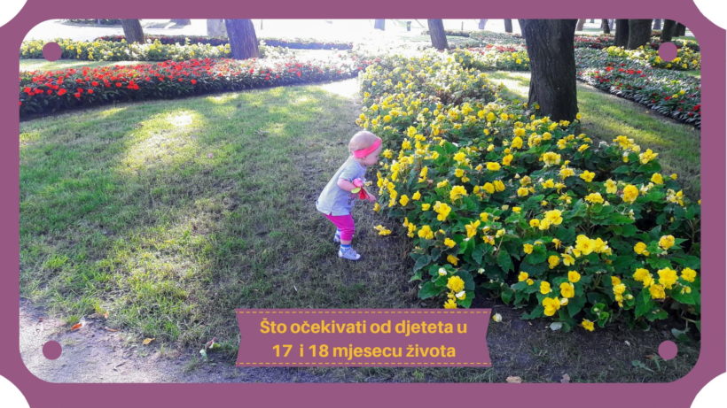Sto ocekivati od 17 i 18 mjeseci starog djeteta - Pocetna Slika
