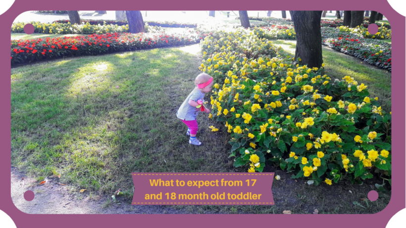 What to expect from 17 and 18 month old toddler - Cover Picture